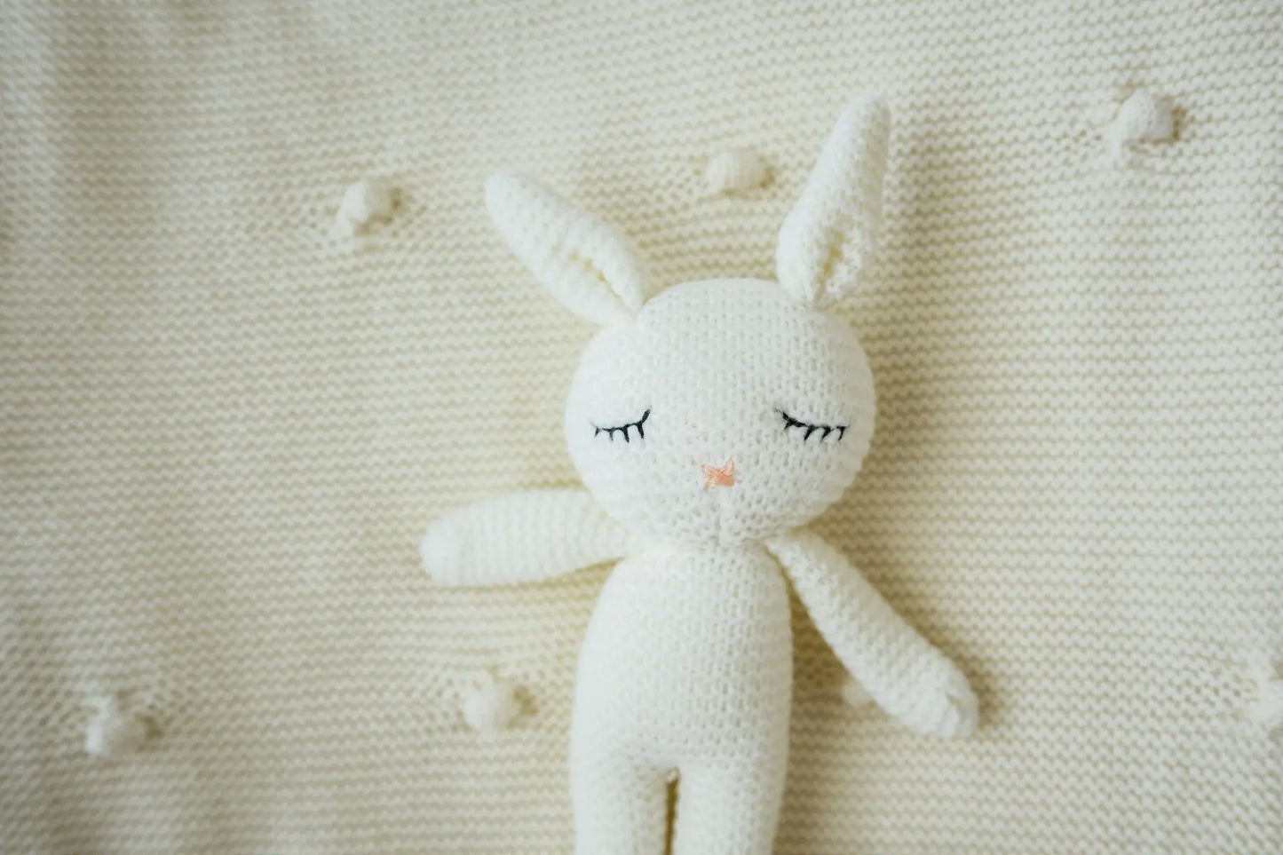 Snuggle Bunny Collection Wintys Wish