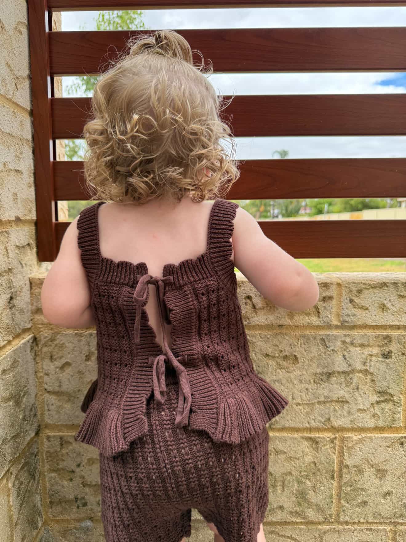 The Chestnut Dream Top